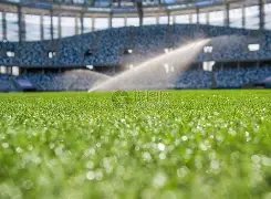 安东尼屡创,佳绩,伊斯科呼吁,博鱼体育官网,博鱼体育app,博鱼体育APP下载